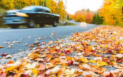 MD Express Tag & Title welcomes the Fall festival Season