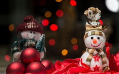 Vote for Your Favorite Christmas Decorations and Receive $5 Off Services